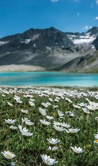 Wandern und Kultur in Davos Klosters © Fotograf Martin Bissig 