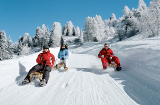 schlitteln davos alpine hotel davos s