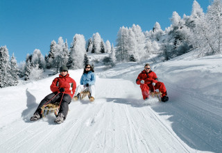 schlitteln davos alpine hotel davos s