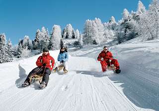 Sledging fun in Davos