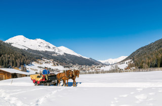 Pferdekutsche Winter 0199JPG 