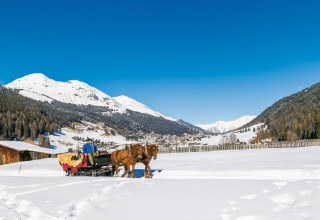 Pferdekutsche Winter 0199JPG 